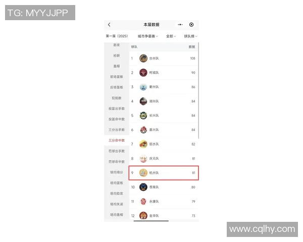 杭州排球队总决赛精彩表现分析与实力评估